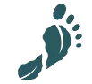 footprint